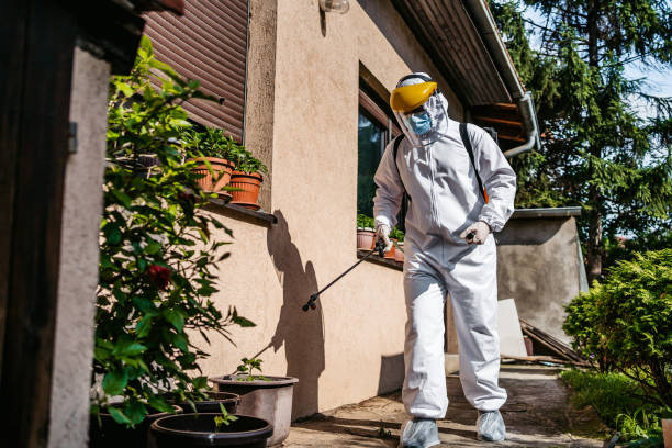 Best Local Pest Control Services  in Maplewood, WA