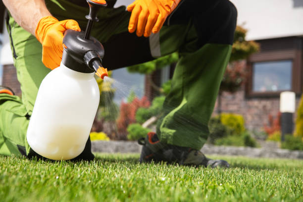 Best Bird Control  in Maplewood, WA