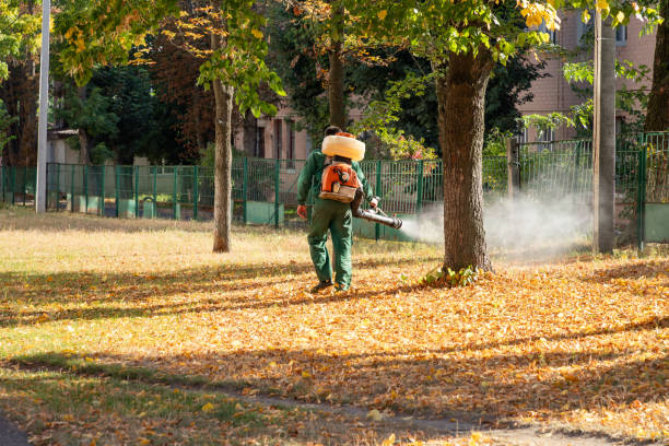Best Affordable Pest Control Services  in Maplewood, WA